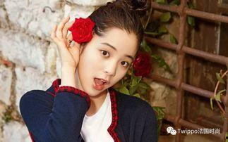 娱乐圈吃瓜资深少女文,揭秘那些年我们追过的“瓜”